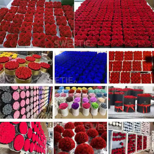 Idée cadeau Saint-Valentin 2026 : Roses éternelles préservées sous cloche en boîte, pour la Fête des Mères et la remise des diplômes, écologiques - Product Image 6