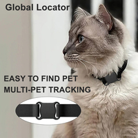 En temps réel chat chien application gratuite Smart Global Locator suivi GPS Pet Tracker collier pour Apple ISO Android