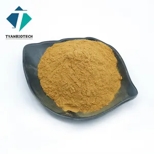 High Quality Water Soluble Ratio 20:1 Arctium Burdock Root Extract Powder