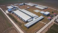 Ligne à boire pour éleveur de poulets de chair