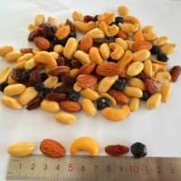 Snacks Saludables HALAL, Mezcla de Nueces y Frutos Secos 100g 120g, Empaque y Peso Personalizados