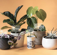 Étiquettes de Jardin Multitailles Réutilisables en Acrylique pour Plantes – Utilisation Intérieure et Extérieure – Étiquettes Transparentes en Acrylique Imperméables avec Trou de Drainage à Suspendre