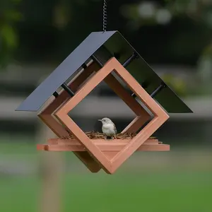 Mangeoire pour oiseaux sauvages