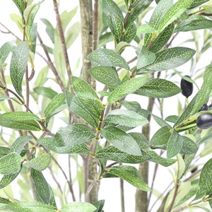 Arbre d'olivier artificiel de style nordique, décoration d'intérieur, ornement d'olivier artificiel, décoration de vitrine, plante verte artificielle en pot - Product Image 4