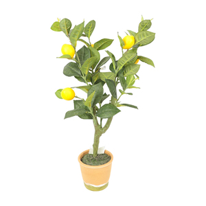 Hojas de árbol de limón Tropical Artificial de alta calidad CC hojas de plástico de tacto Real decoración de boda 037 - Product Image 3