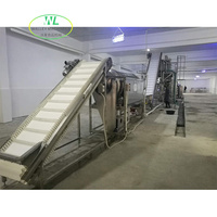 Ligne de production automatique de lavage et de déshydratation des raisins verts Walley avec machines de traitement à pompe à engrenages PLC, prix d'usine
