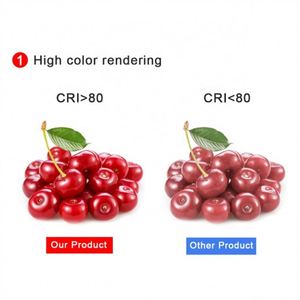 Cảm Biến Chuyển Động E27 Phát Hiện Ánh Sáng Tích Hợp Trình Điều Khiển Thông Minh 5W 7W 9W 12W 15W Bóng Đèn Hình Cầu Cảm Ứng Cơ Thể Con Người - Product Image 4