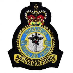 Écussons brodés à la machine Royal Air Force pour les escadrilles RAF - Product Image 1