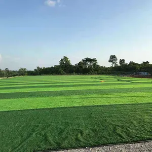 50 مللي متر كرة القدم عشب اصطناعي الرياضة العشب وهمية العشب الاصطناعي لكرة الصالات