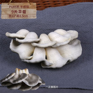 Modelo de Hongo Ostra Artificial Realista para Exhibición en Museos, Accesorios Educativos de Comida Falsa - Product Image 2