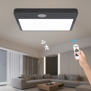 Plafonnier à détecteur de mouvement rechargeable, veilleuse à induction automatique, éclairage LED sans fil pour armoire, chambre, couloir, escalier - Product Image 1