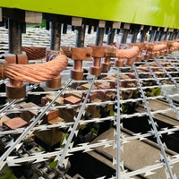 Clôture soudée de panneau de grille de rasoir de maille de rasoir
