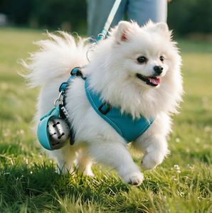 อุปกรณ์สำหรับสัตว์เลี้ยง: ที่จ่ายน้ำแบบพกพาสำหรับสุนัขที่ต้องออกไปข้างนอก ตะขอสแตนเลส 304, ที่จ่ายน้ำแบบพับได้ทรงกลม - Product Image 2