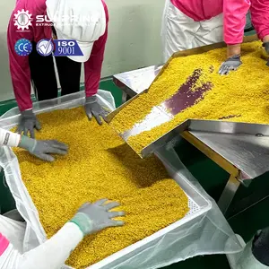 SunPring ekstruder nasi buatan rusak garis pengolahan nasi buatan konjac mesin beras buatan
