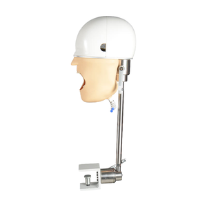 Mannequin de formation à l'intubation fixe sur le bureau avec support pour l'enseignement médical - Product Image 1
