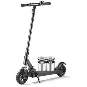 Zhejiang Supplier 300W Vintage Electric Scooter 8in Honeycomb Wheel Dirt E Folding Mobility Scooter for Wholesales