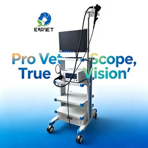 EUR VET <span class=keywords><strong>Precio</strong></span> de Fábrica Sistema de Colonoscopio Flexible HD para Examen Interno de Animales - Product Image 1