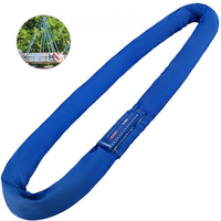 Toptan WLL 1t-30t yüksek mukavemetli 100% Polyester çok fonksiyonlu döngü yuvarlak Lifitng Web Sling CE GS onaylı