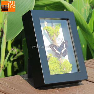 Bán Buôn Tùy Chỉnh 8*8 \ "Đen 3D Sâu Bướm Taxidermy Bằng Gỗ Bóng Hộp Khung Ảnh Chất Lượng Cao Sản Phẩm Cho Cảnh Quan Hoa - Product Image 6