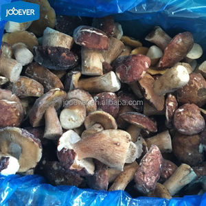 China HACCP BRC IQF Frozen <span class=keywords><strong>Boletus</strong></span> Edulis entero - Product Image 4