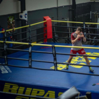 Housse de toile de ring de boxe professionnelle imperméable pour cage de MMA et utilisation en boxe/lutte, personnalisable