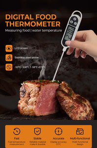 Termômetro Digital de Plástico à Prova d'Água Lonnmeter TP300 para Alimentos, Resposta Rápida, Uso em Forno, Leite, Carne, Peru, Cozinha 1C - Product Image 6