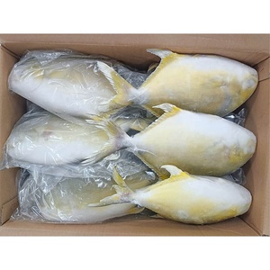 Nuova Stagione in Arrivo a Maggio: Pesce Pomfret Dorato Congelato, Pompano Dorato WR, con Tutti i Tipi di Pesce Fornito - Product Image 1