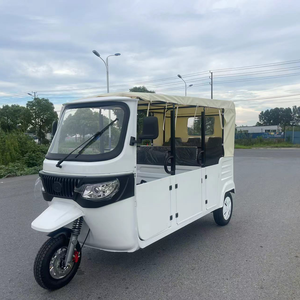 Triciclo 2025 con Capacidad para 6/8 Personas, E-rickshaw Motorizado para Adultos, para Pasajeros - Product Image 3