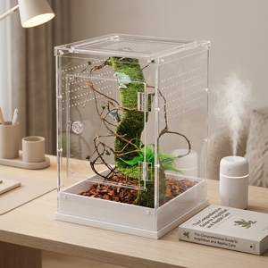 Terrario <span class=keywords><strong>de</strong></span> Acrílico <span class=keywords><strong>de</strong></span> Doble Vía para Reptiles e Insectos con Caja <span class=keywords><strong>de</strong></span> Cría Desmontable, Color Personalizable, Jaula <span class=keywords><strong>de</strong></span> Hábitat DIY - Product Image 2