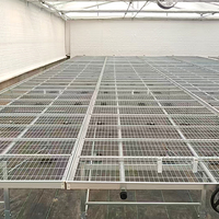 Bac à semis mobile en acier galvanisé avec roues verrouillables pour serre, plateau roulant pour plantes 60x120cm multi-niveaux