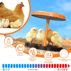 Placa de Control de Temperatura para Criadora de Pollitos 35W, Altura Ajustable, Fuente de Calor para Gallinero, Máquina de Crianza de Aves de Corral - Product Image 2