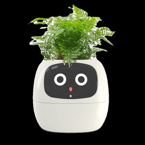 Pot de fleurs intelligent Mimi avec capteur, interaction faciale, application, animal de compagnie numérique, auto-arrosage, <span class=keywords><strong>petit</strong></span> pot de fleurs - Product Image 4