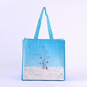 Sac en PP tissé en gros, impression couleur, logo personnalisé, plastification, sac de courses écologique en PP - Product Image 1