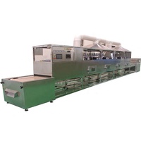 Nieuwe Magnetron Apparatuur Industrieel Voedsel Groen Blad Magnetron Tunnel Droger Dehydrator Machine Voor Het Drogen Van Lotusblad