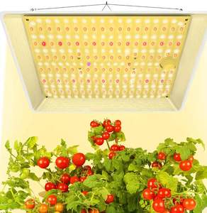 60W Steuerfreie LED-Wachstumslampe für die EU, Samsung LM281B Mix 660nm UV IR Vollspektrum mit IP65 Aluminiumplatine für das Pflanzenwachstum - Product Image 4