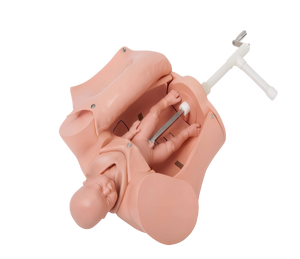 Maniquí Avanzado de Parto para Educación Médica, Simulador de Parto Portátil, Modelo de Entrenamiento - Product Image 3