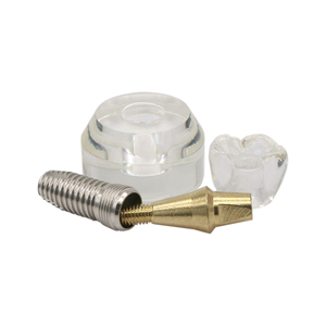 Modello di impianto dentale denti insegnamento corona di cristallo dimostrazione protesi rimovibili studio studio odontoiatria dentista - Product Image 5