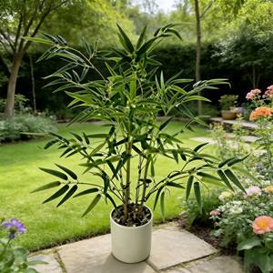 Planta artificial de bambú en maceta, bonsái artificial de bambú, bambú - Product Image 3