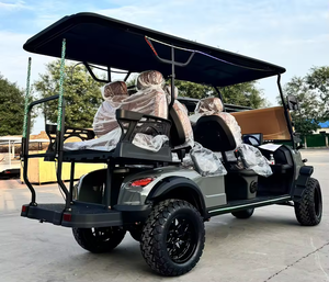 Voiture de golf WELIFTRICH Mini Luxury Antique Electric Classic 4 places 6 places pour mariages, stations balnéaires, hôtels - Product Image 3