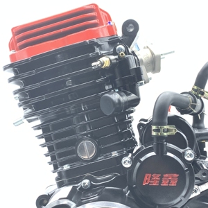 อะไหล่และอุปกรณ์เสริมรถสามล้อเครื่องยนต์ Loncin 300cc 4 จังหวะ สำหรับขาย ชุดประกอบเครื่องยนต์มอเตอร์ไซค์ JN300 รุ่น L - Product Image 5