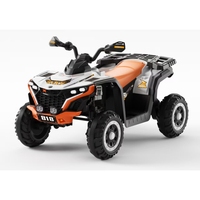 Vente d'usine : Voiture jouet à pédales pour enfants, quad en plastique PP avec télécommande, fonctionnant sur batterie, pour 2-4 ans, cadeau populaire