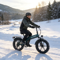 Bicicleta Eléctrica Plegable de 20 Pulgadas con Neumáticos Gruesos 20x4.0, Suspensión Completa, Todoterreno, Enduro, Entrega Rápida de Fábrica OEM