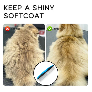 Haute Qualité Fantaisie <span class=keywords><strong>Chien</strong></span> Peigne Long Épais Cheveux Fourrure Enlèvement Brosse Pet Coloré Lumière <span class=keywords><strong>Tondeuse</strong></span> <span class=keywords><strong>Chien</strong></span> Toilettage Peigne - Product Image 6