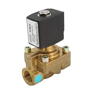 วาล์วโซลินอยด์แรงดันสูง 2 ทาง รุ่น Z231 ผลิตจากทองเหลืองหรือสแตนเลส แบบ NC NO เกลียว BSP NPT รองรับแรงดัน 40 บาร์ 50 บาร์ ใช้ไฟ 24V DC 220V AC ราคาโรงงาน - Product Image 2