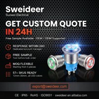 Interrupteur à bouton-poussoir en métal Sweideer, éclairé par LED, étanche, à montage sur panneau, momentané, en acier inoxydable, pour commande industrielle