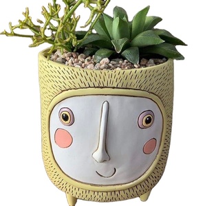 PLANTERS DE VISAGE Bébé Soleil Créations Succulentes Maison - Product Image 1