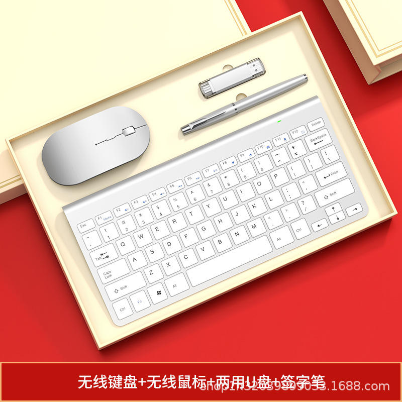 Four-piece silver mouse, keyboard, pen, and USB flash drive set