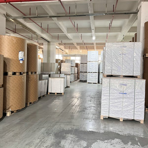 Cartón FBB Recubierto por una Cara, Color Marfil, Pulpa Virgen, Reciclable, Venta al Por Mayor - Product Image 6