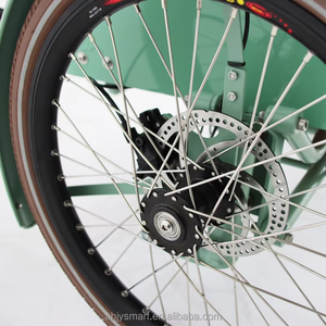 Bicicleta Eléctrica de Reparto, Triciclo Eléctrico, Bicicleta Holandesa, Casa Móvil Eléctrica, Triciclo Eléctrico Enduro, Bicicleta Familiar de Carga de 3 Ruedas, Bakfiets - Product Image 6