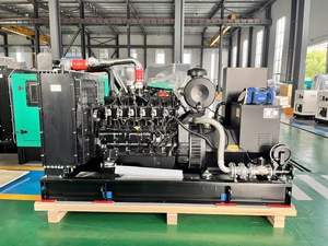 Cum-phút LPG lng Máy phát điện im lặng loại 300 KVA 240kw tự động bắt đầu trong kho Stanford alternator khí đốt tự nhiên Máy phát điện để bán - Product Image 5